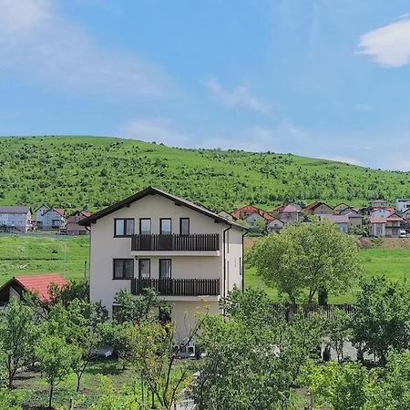 Pensiunea Albina Sinnicoara Exterior foto