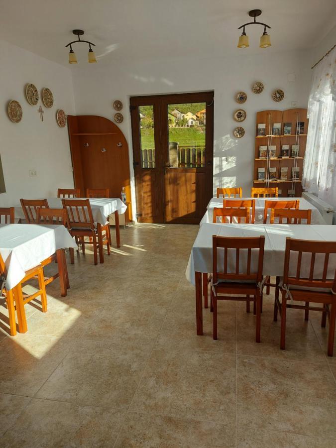 Pensiunea Albina Sinnicoara Exterior foto