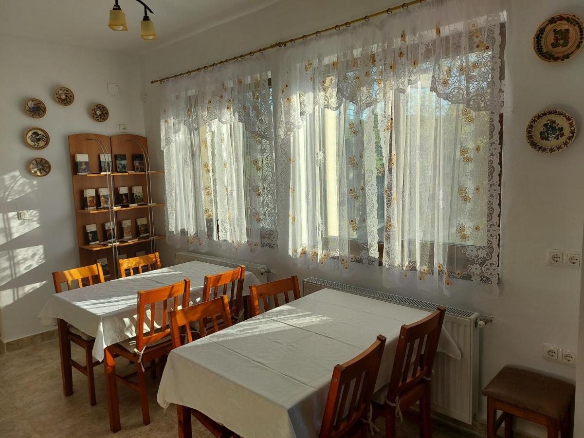 Pensiunea Albina Sinnicoara Exterior foto