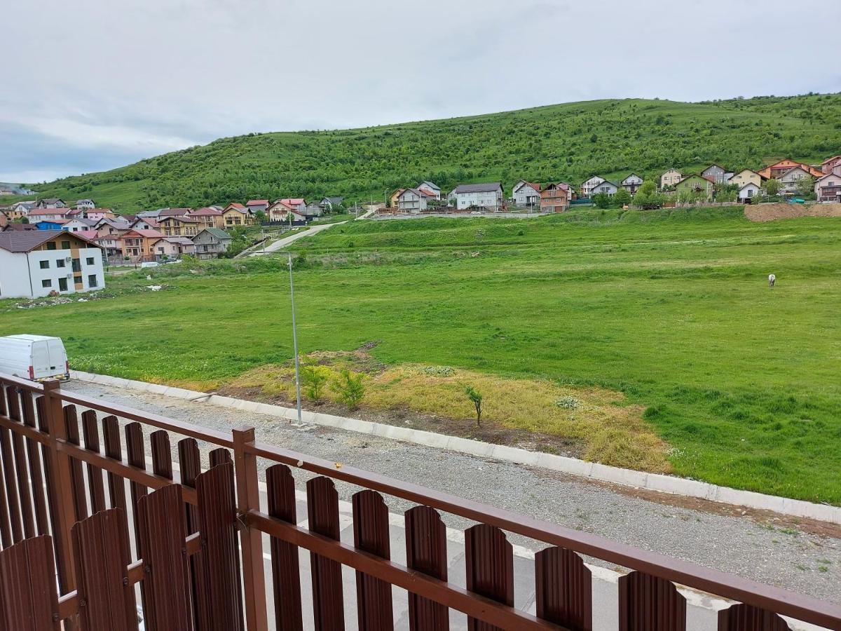 Pensiunea Albina Sinnicoara Exterior foto