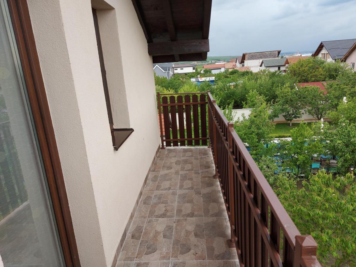 Pensiunea Albina Sinnicoara Exterior foto