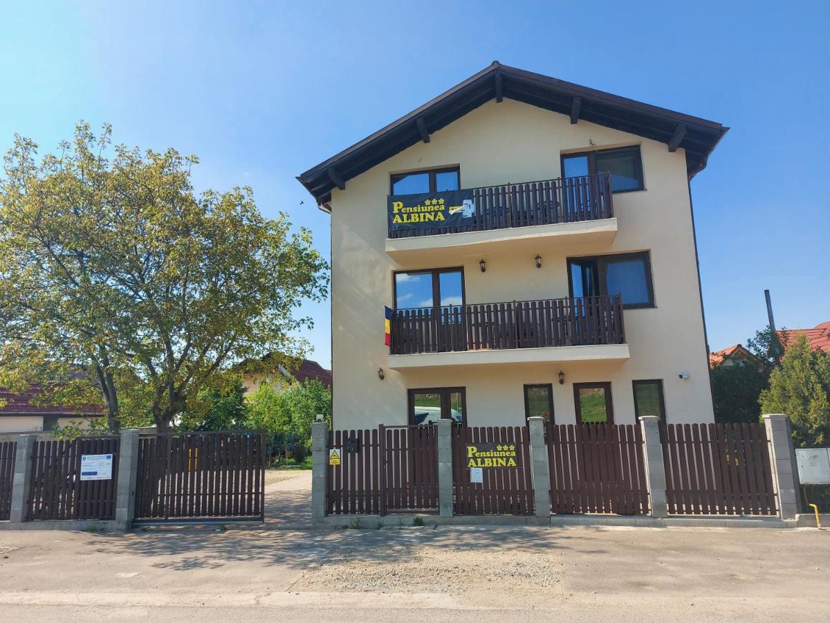 Pensiunea Albina Sinnicoara Exterior foto